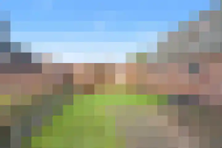 Irenestraat 8 't Zand thumbnail 33