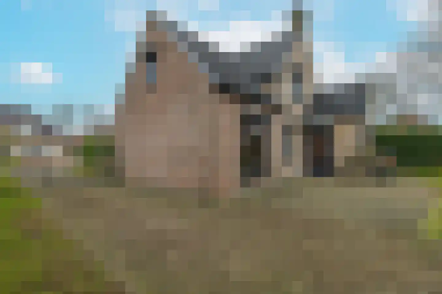 Irenestraat 83 St. Willebrord thumbnail 39