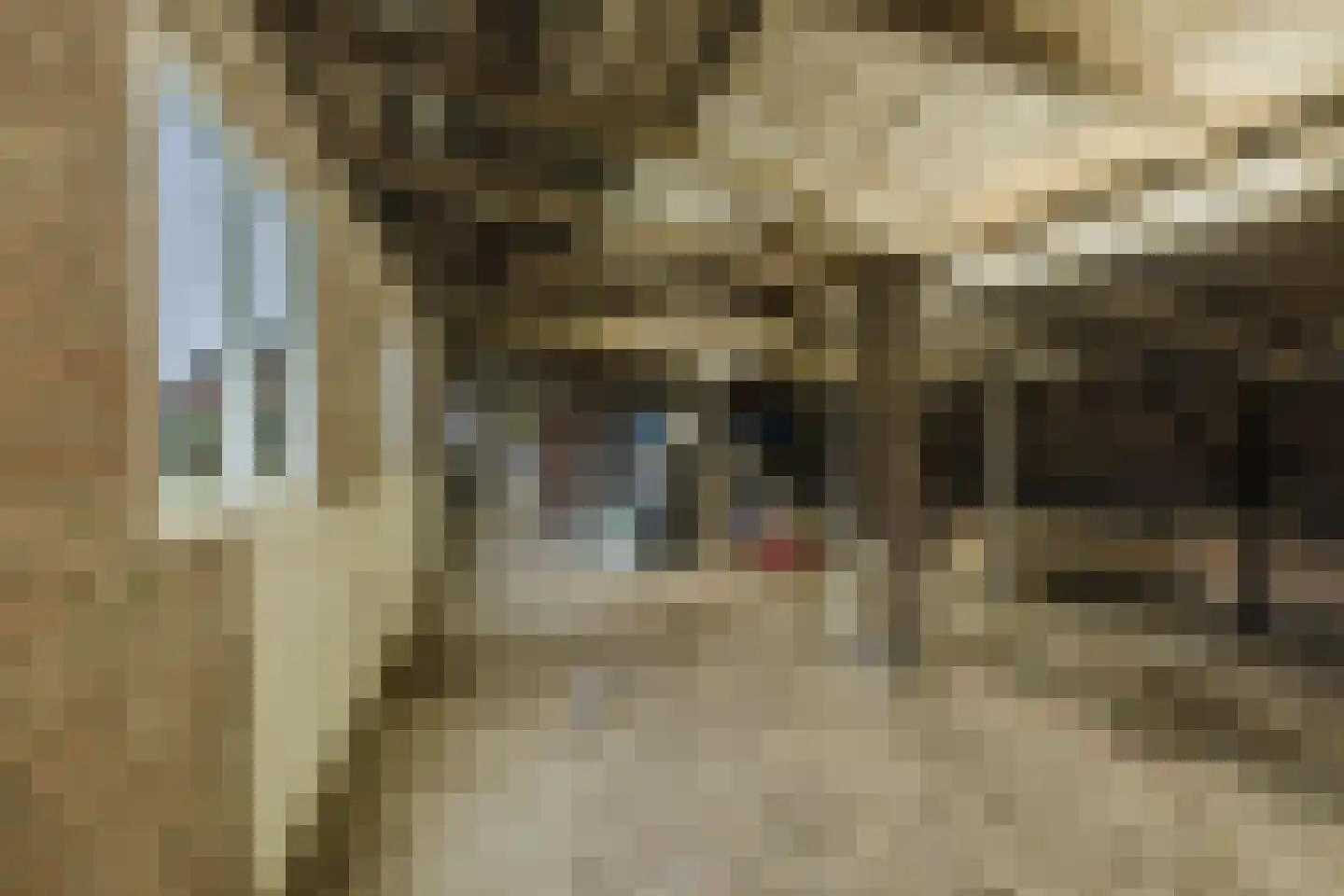 Irenestraat 83 St. Willebrord thumbnail 53
