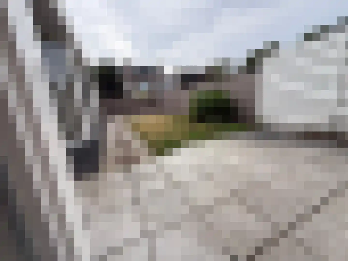 Irenestraat 9 Baarle-Nassau thumbnail 39