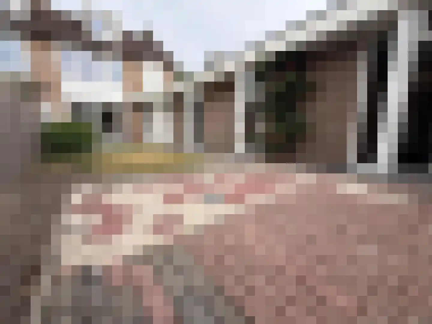 Irenestraat 9 Baarle-Nassau thumbnail 40