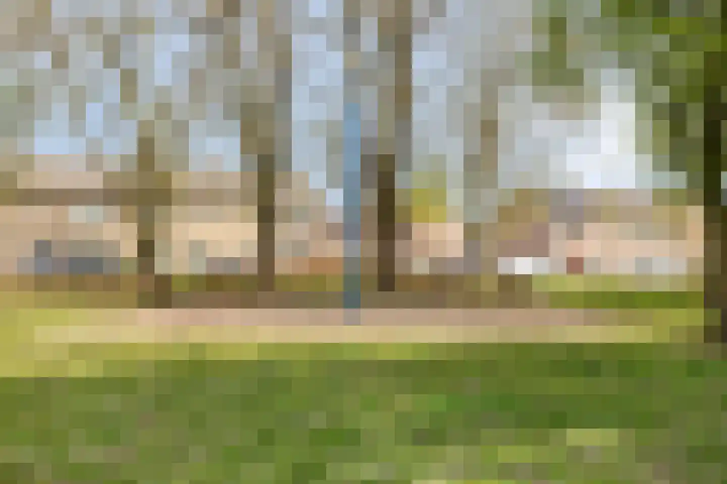 Irenestraat 9 Baarle-Nassau thumbnail 45