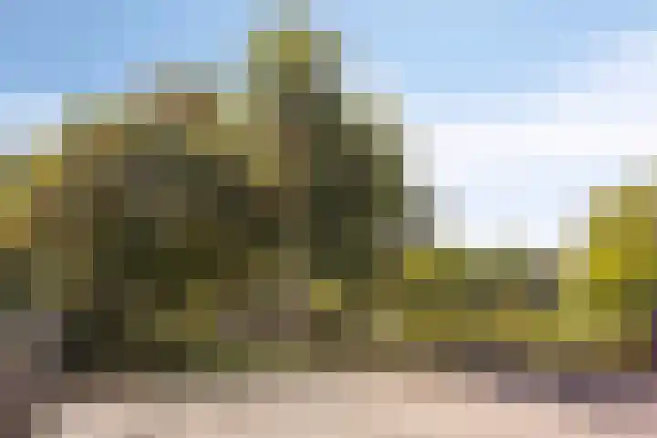 Irenestraat 9 Lith thumbnail 21