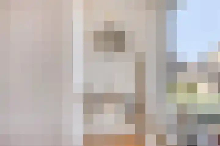 Irenestraat 9 Lith thumbnail 22