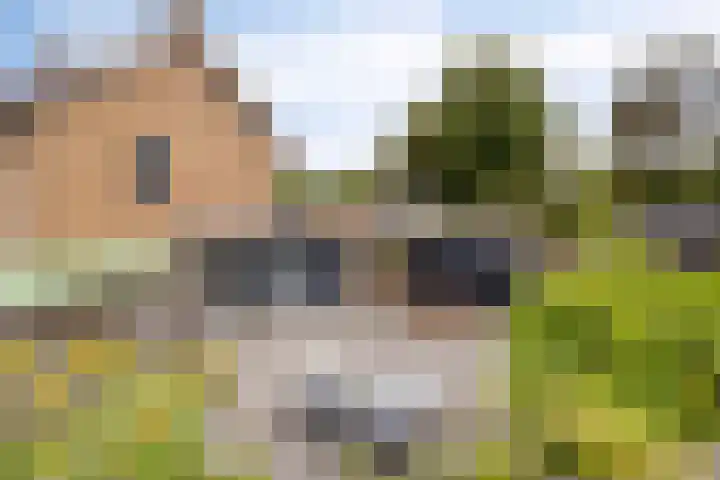 Irenestraat 9 Lith thumbnail 29