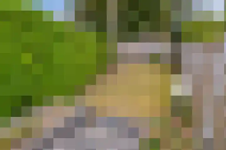 Irenestraat 9 Lith thumbnail 30