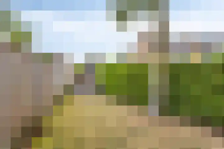 Irenestraat 9 Lith thumbnail 31