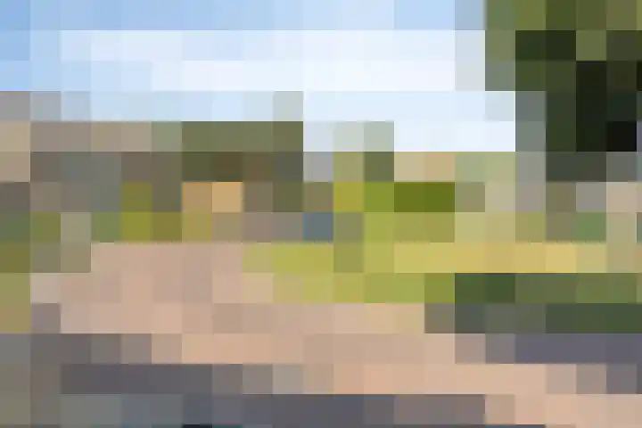 Irenestraat 9 Lith thumbnail 35