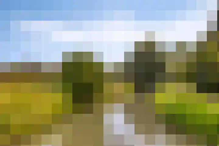 Irenestraat 9 Lith thumbnail 36