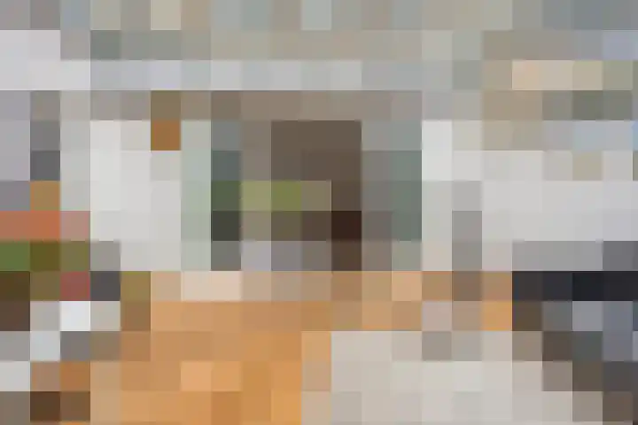 Irenestraat 9 Lith thumbnail 7