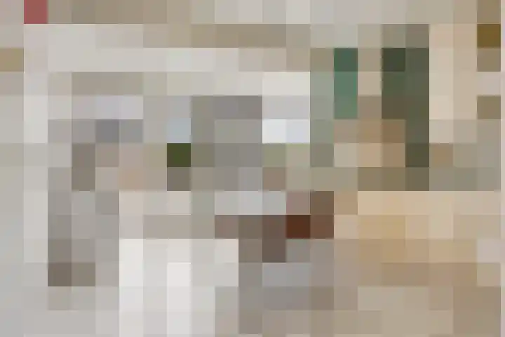 Irenestraat 9 Lith thumbnail 9