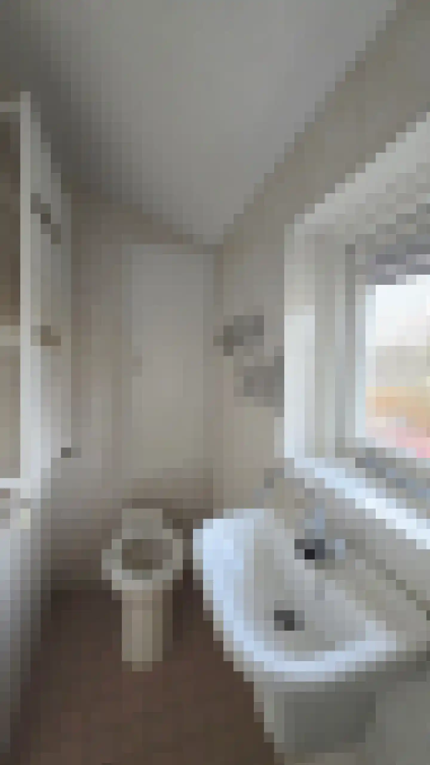 Ireneweg 10 Oosterbeek thumbnail 23