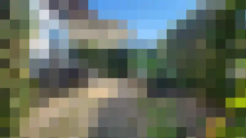 Ireneweg 10 Oosterbeek thumbnail 24