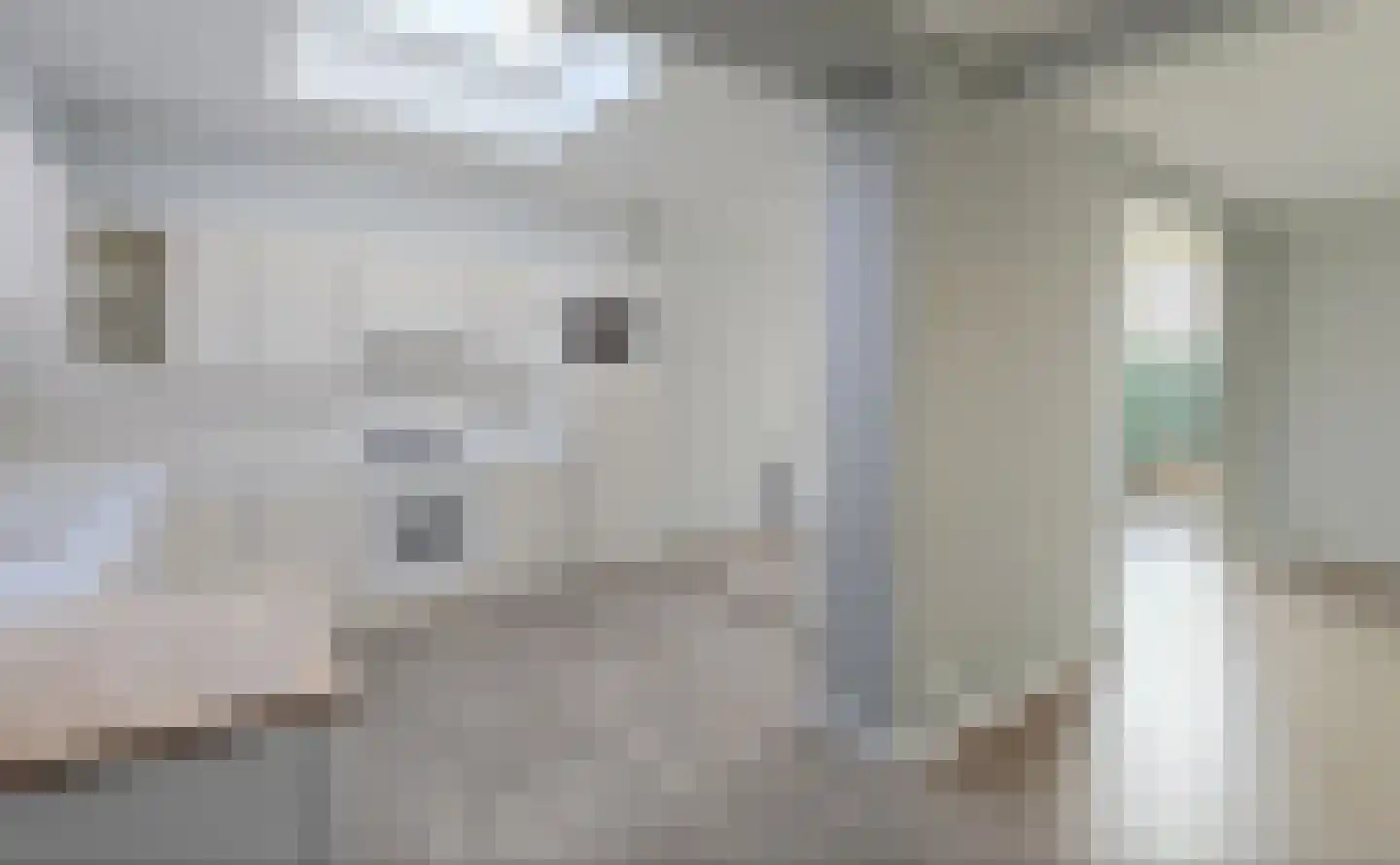 Ireneweg 10 Oosterbeek thumbnail 9