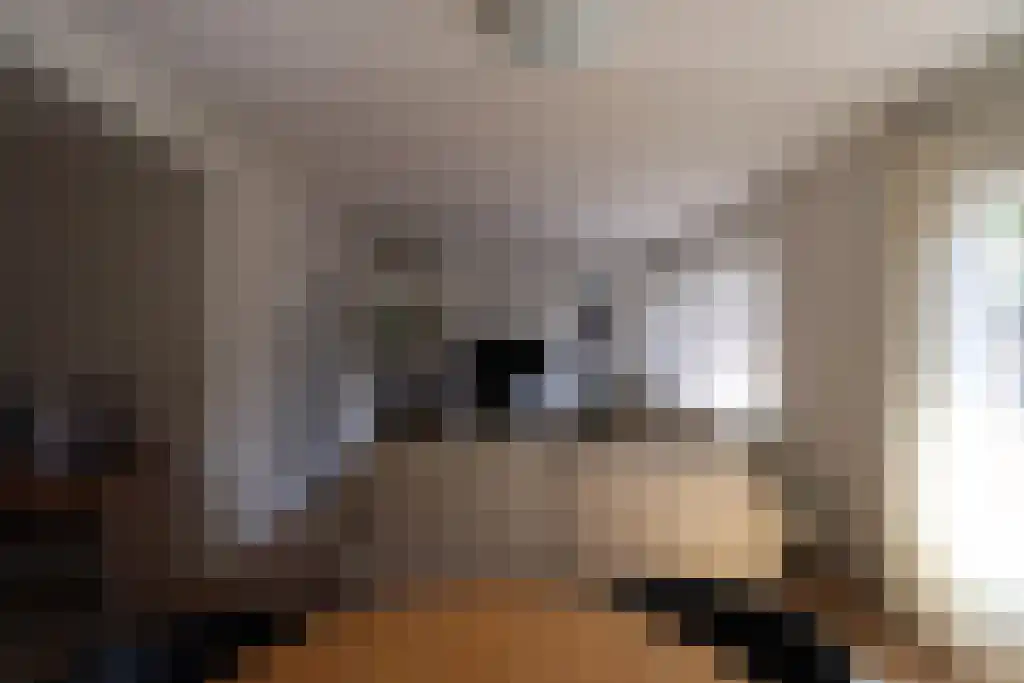 Ireneweg 15 Maastricht thumbnail 5