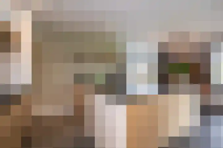 Ireneweg 18 Ouddorp thumbnail 27