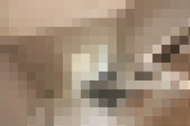 Ireneweg 18 Ouddorp thumbnail 32