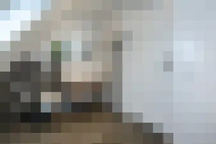 Ireneweg 18 Ouddorp thumbnail 39