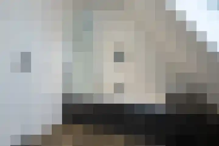 Ireneweg 18 Ouddorp thumbnail 41