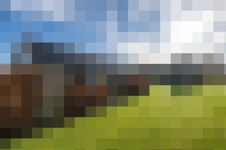 Ireneweg 18 Ouddorp thumbnail 44