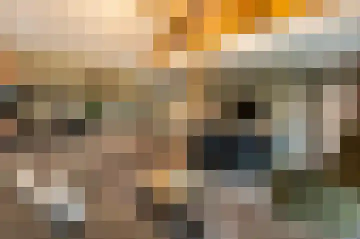Ireneweg 18 Ouddorp thumbnail 45