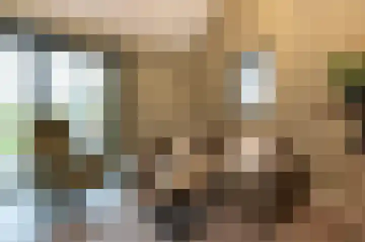 Ireneweg 18 Ouddorp thumbnail 49