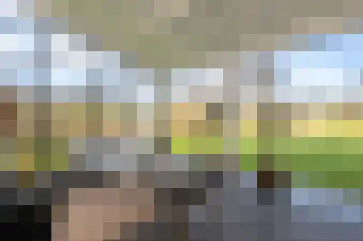 Ireneweg 18 Ouddorp thumbnail 5