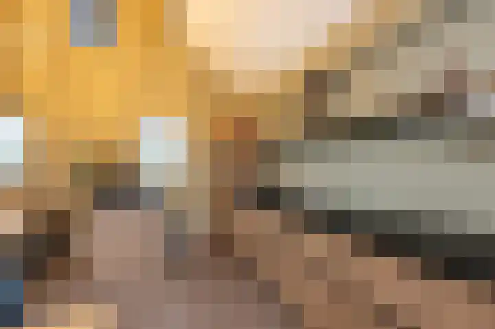 Ireneweg 18 Ouddorp thumbnail 52