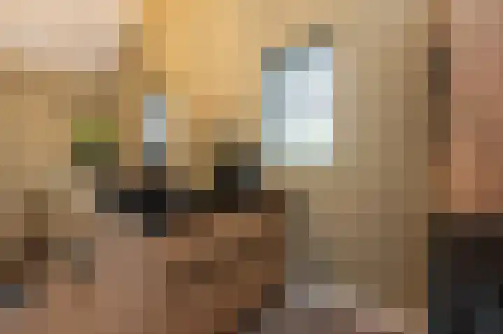 Ireneweg 18 Ouddorp thumbnail 53