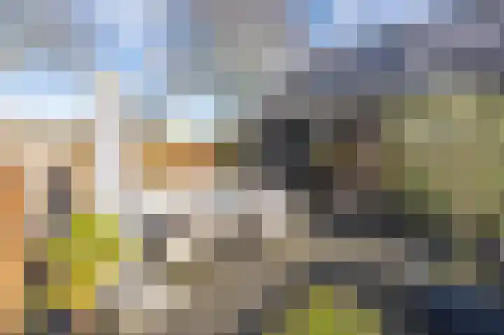 Ireneweg 18 Ouddorp thumbnail 59