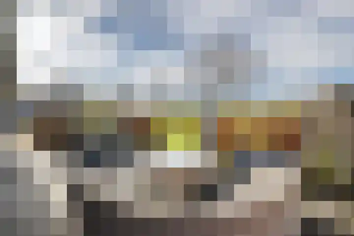 Ireneweg 18 Ouddorp thumbnail 61