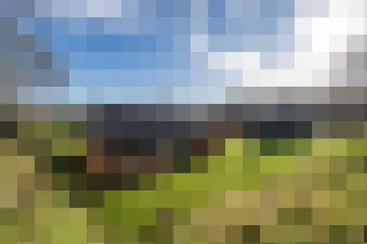 Ireneweg 18 Ouddorp thumbnail 62