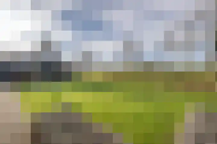Ireneweg 18 Ouddorp thumbnail 64