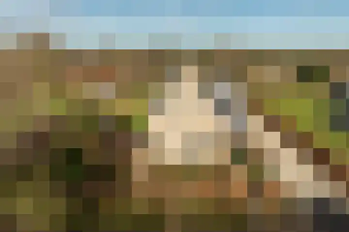 Ireneweg 18 Ouddorp thumbnail 67