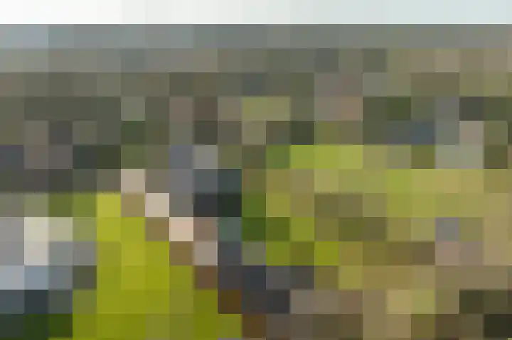 Ireneweg 18 Ouddorp thumbnail 70