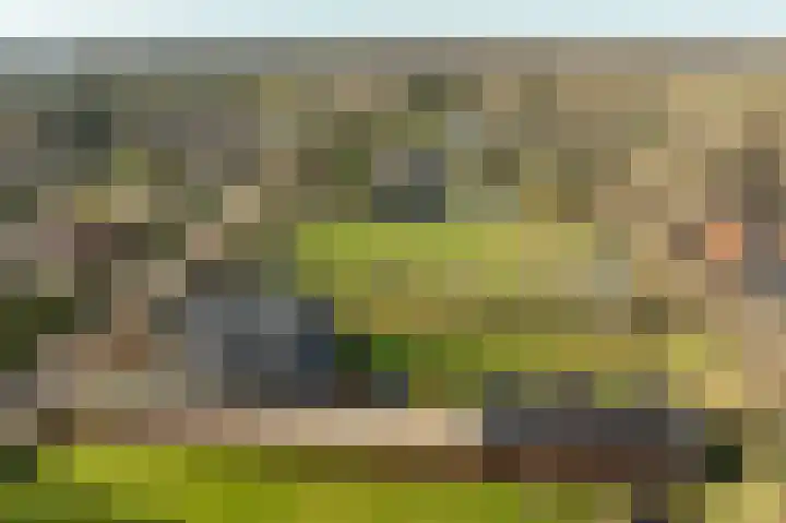 Ireneweg 18 Ouddorp thumbnail 71
