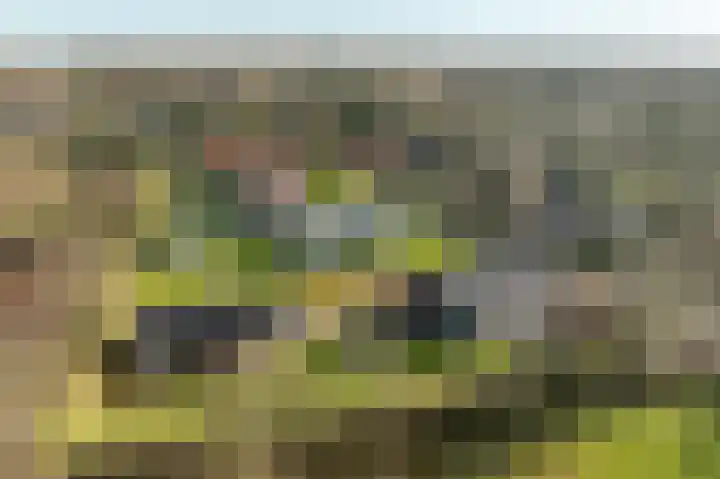Ireneweg 18 Ouddorp thumbnail 72