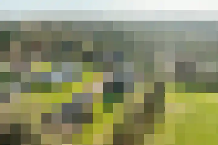 Ireneweg 18 Ouddorp thumbnail 73