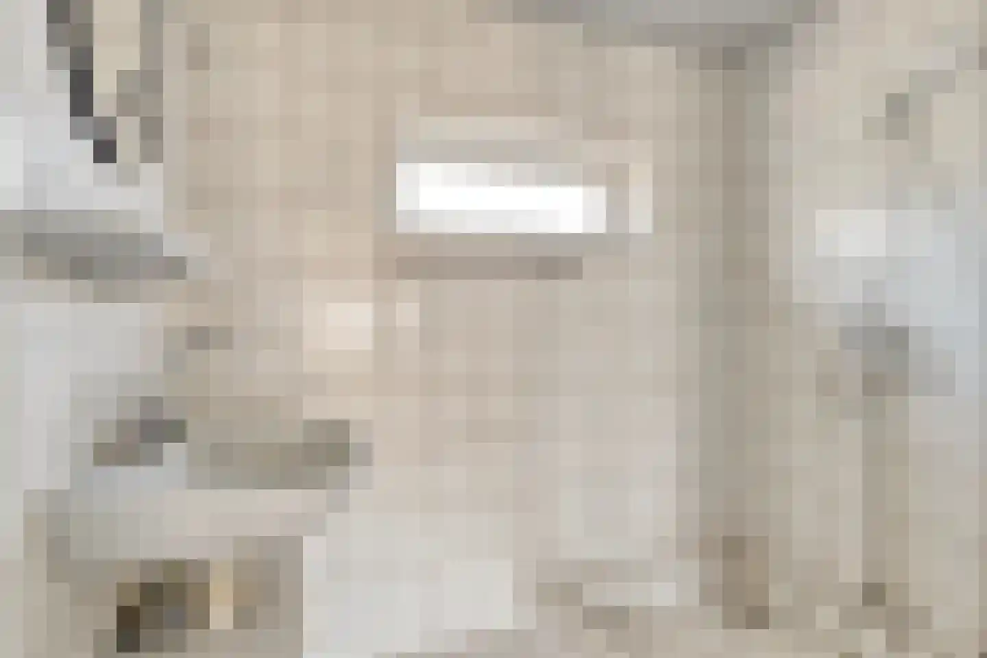 Ireneweg 4 Bleiswijk thumbnail 18
