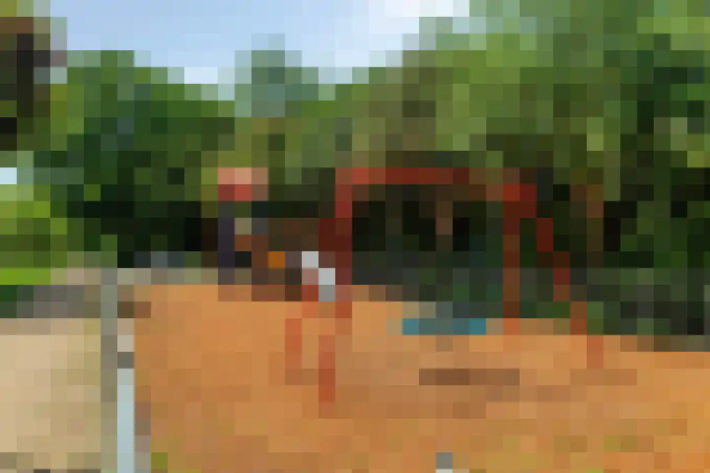 Ireneweg 4 Bleiswijk thumbnail 22