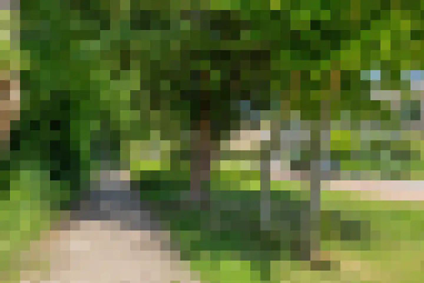 Ireneweg 4 Bleiswijk thumbnail 23