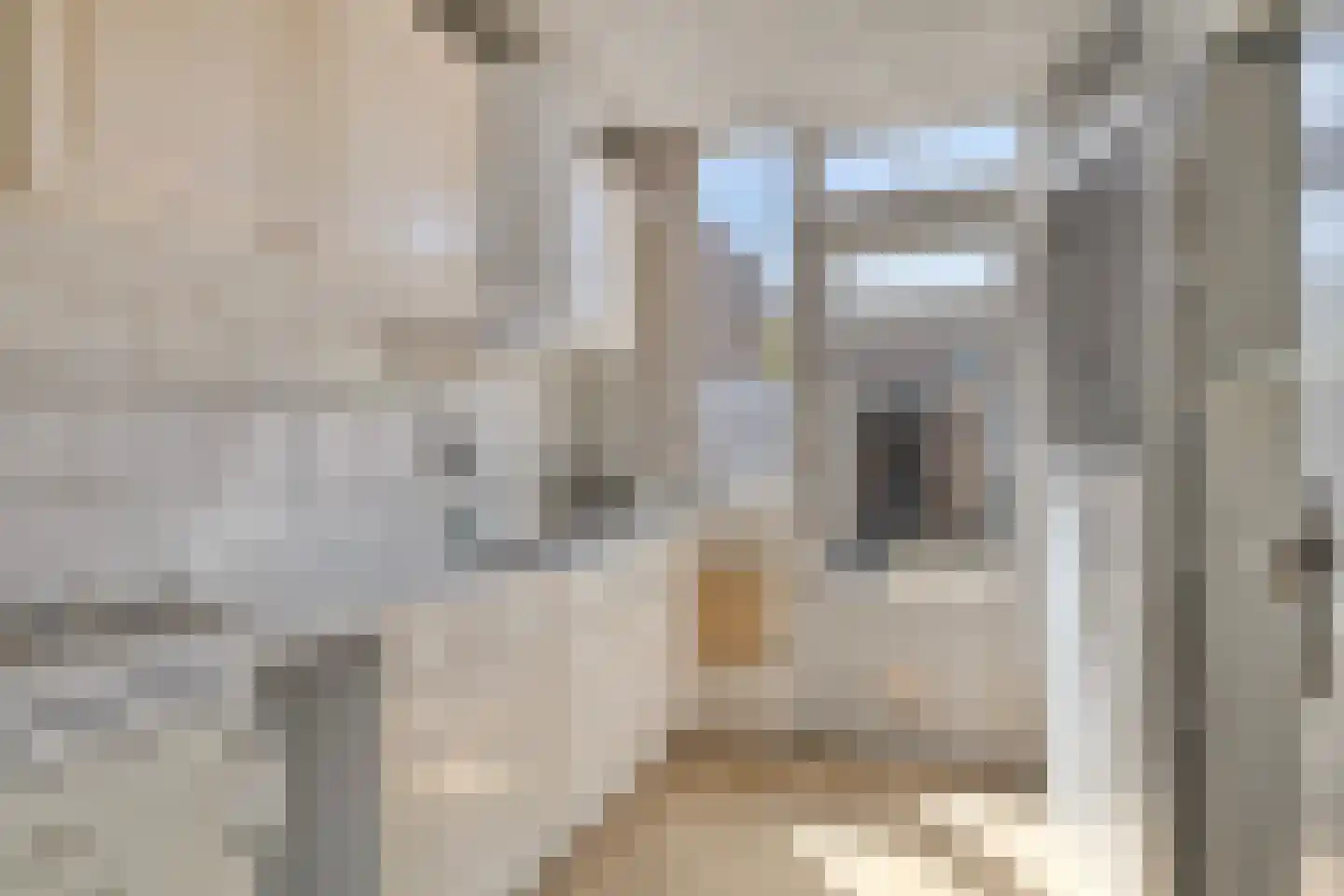 Ireneweg 4 Bleiswijk thumbnail 8