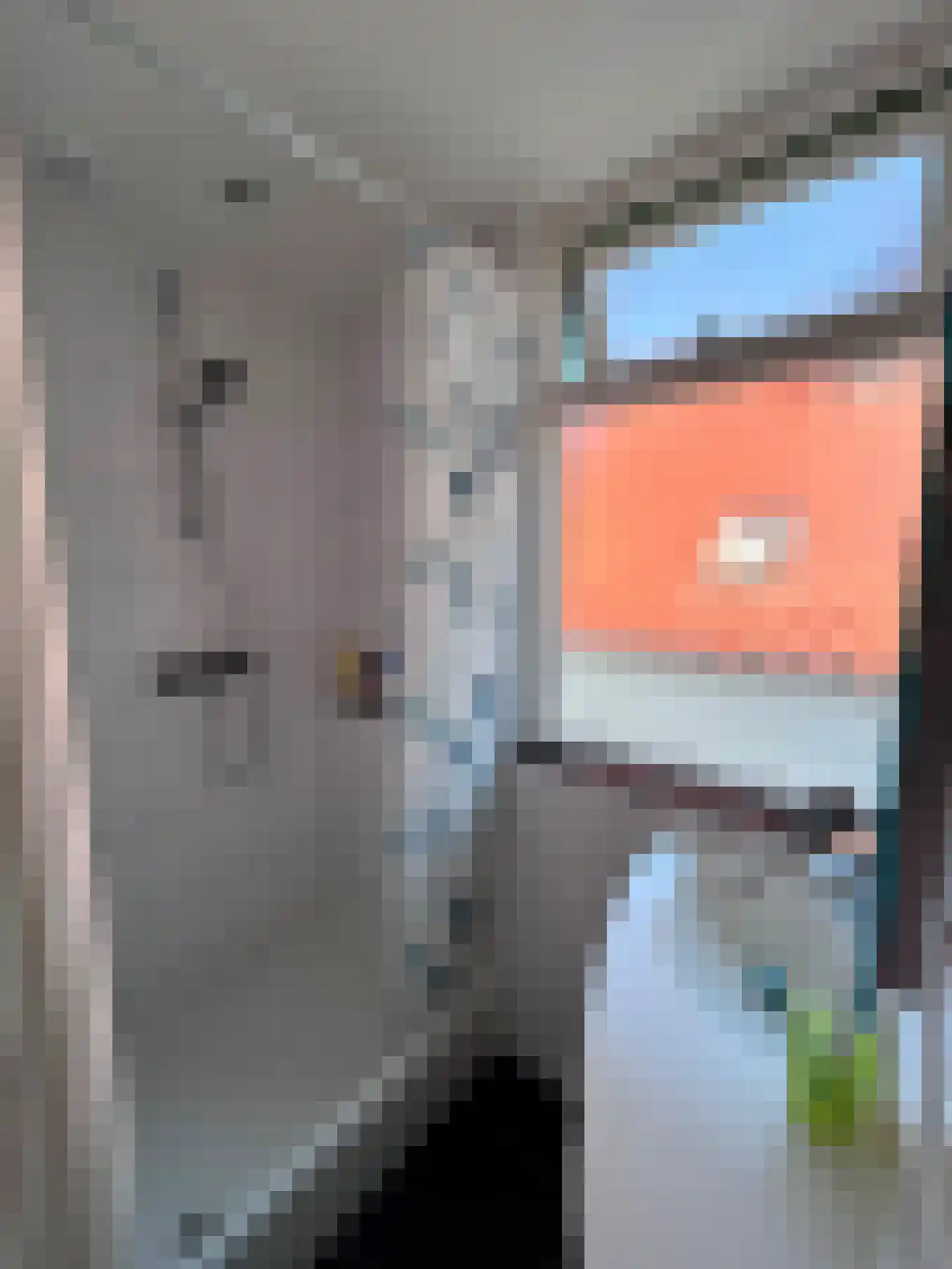 Ireneweg 6 Oosterbeek thumbnail 13
