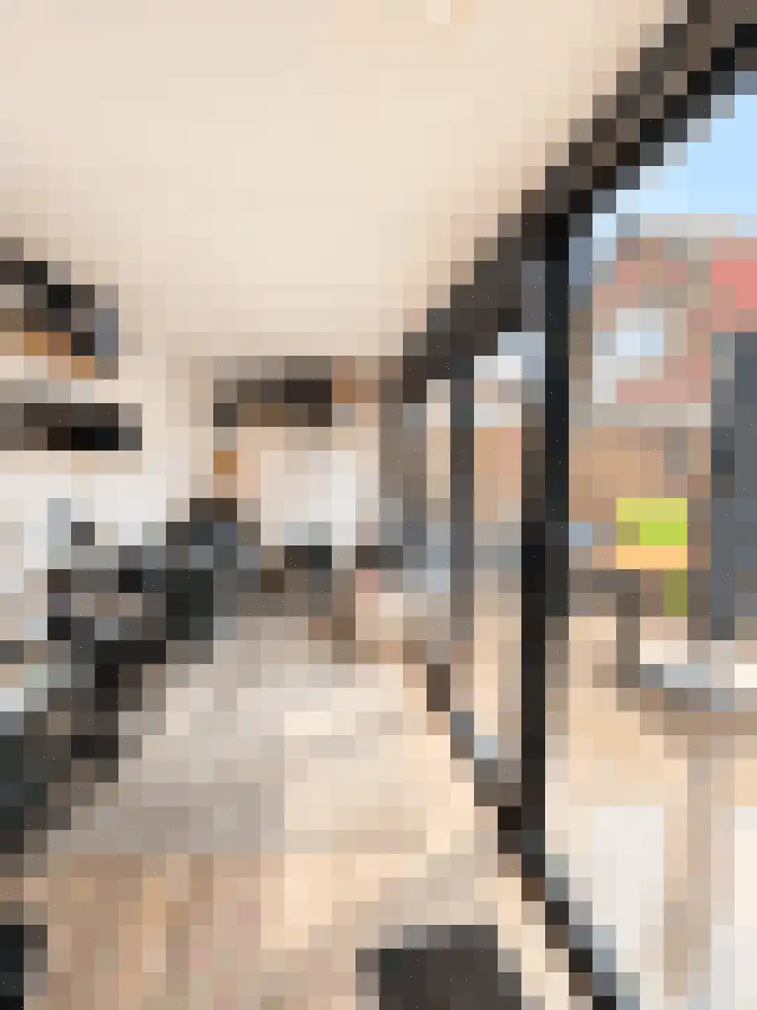 Ireneweg 6 Oosterbeek thumbnail 20