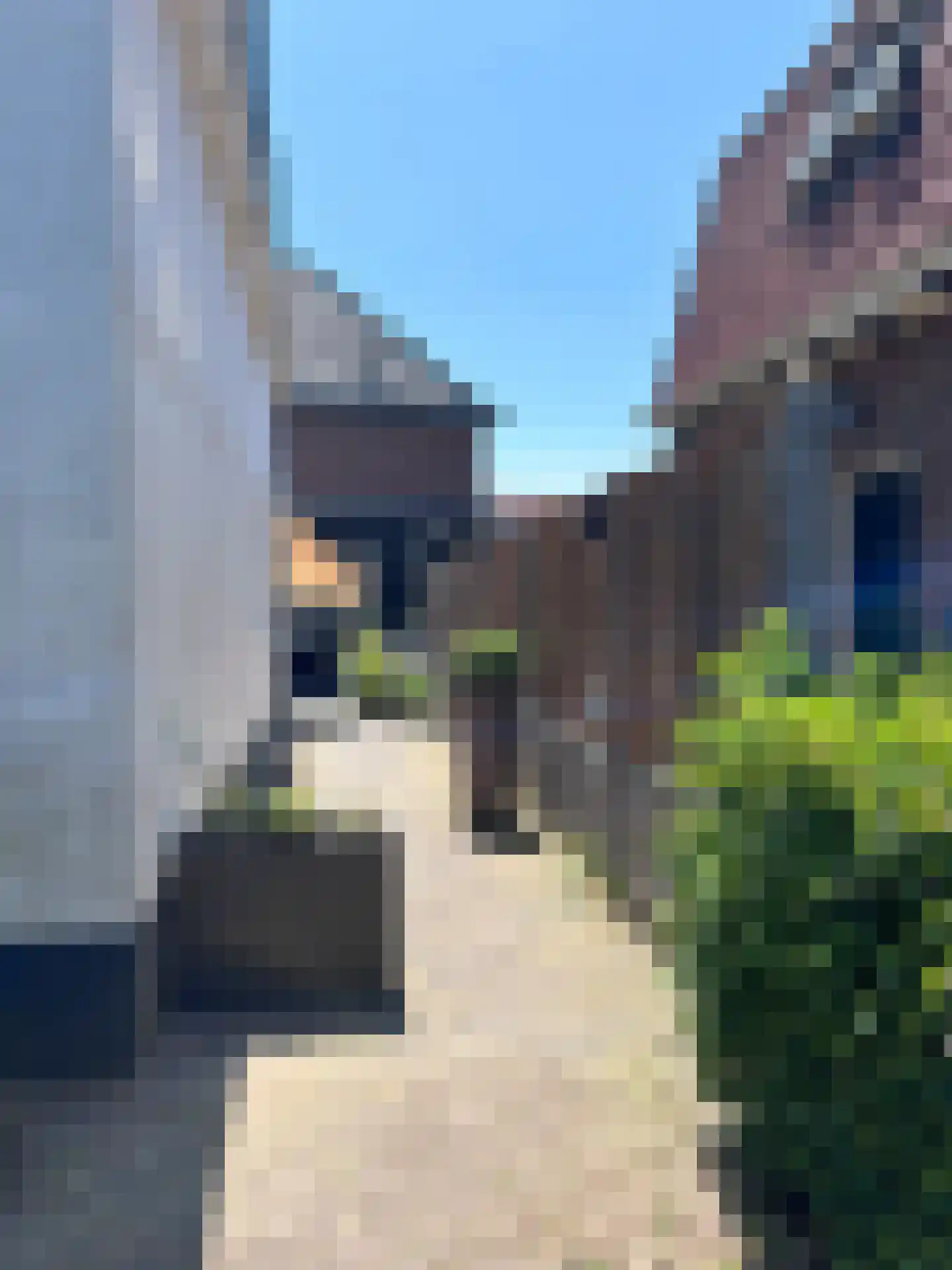 Ireneweg 6 Oosterbeek thumbnail 21