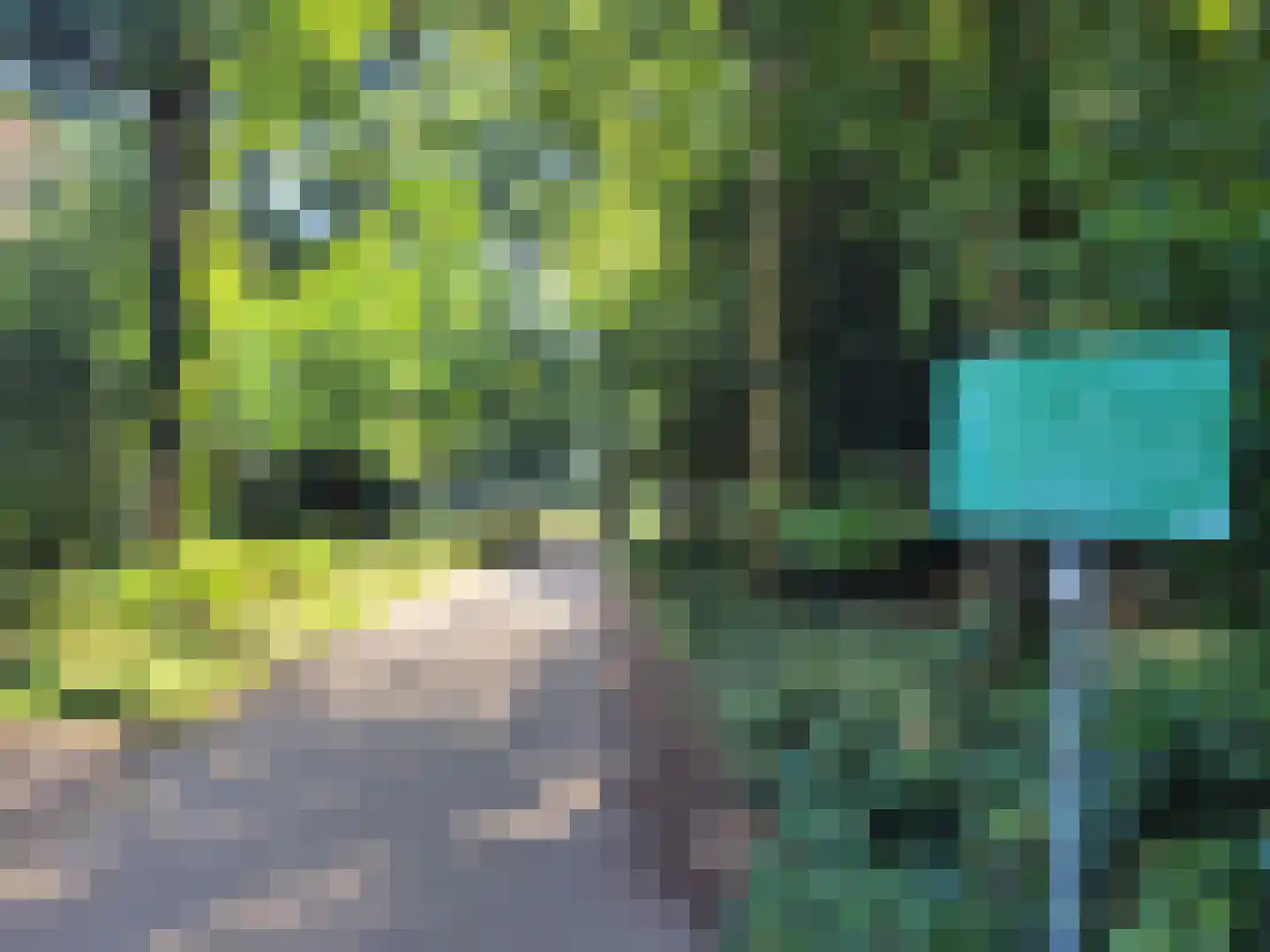 Ireneweg 6 Oosterbeek thumbnail 22