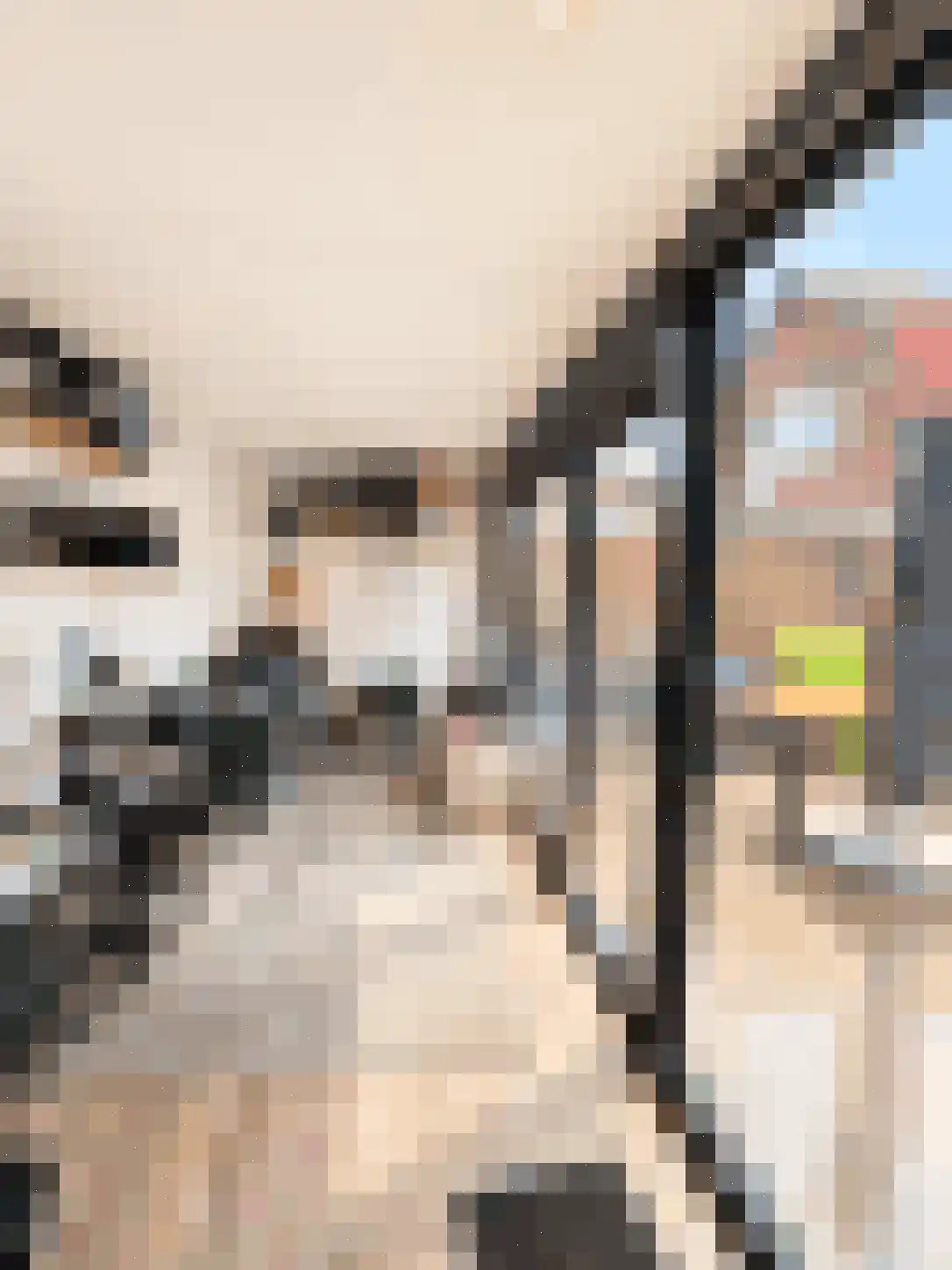 Ireneweg 6 Oosterbeek thumbnail 27