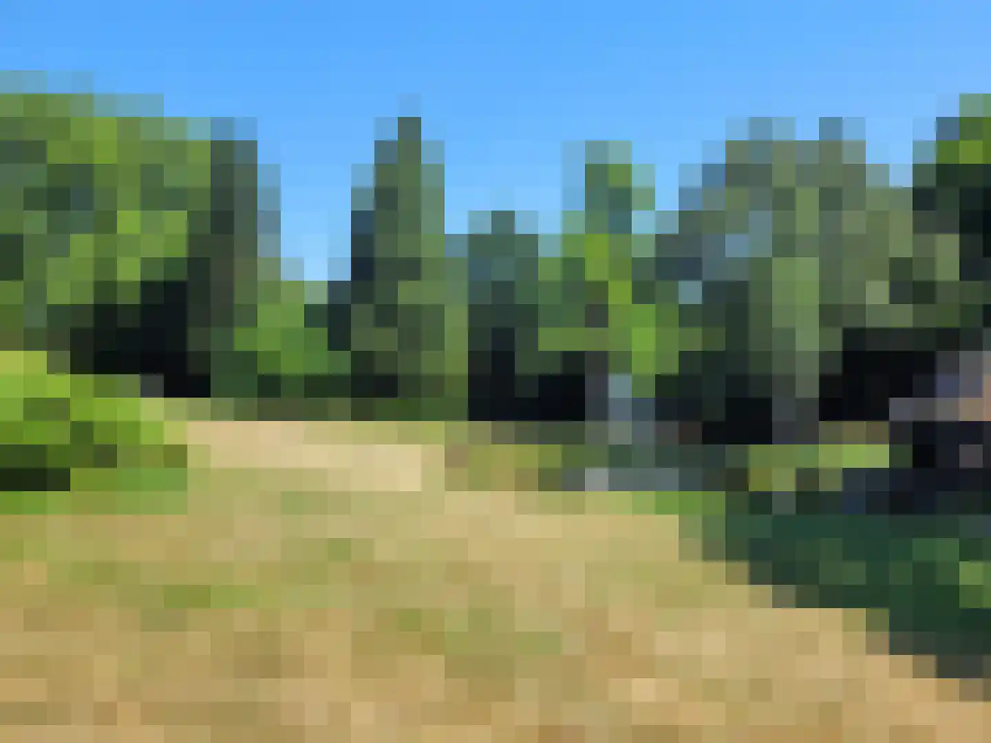 Ireneweg 6 Oosterbeek thumbnail 30