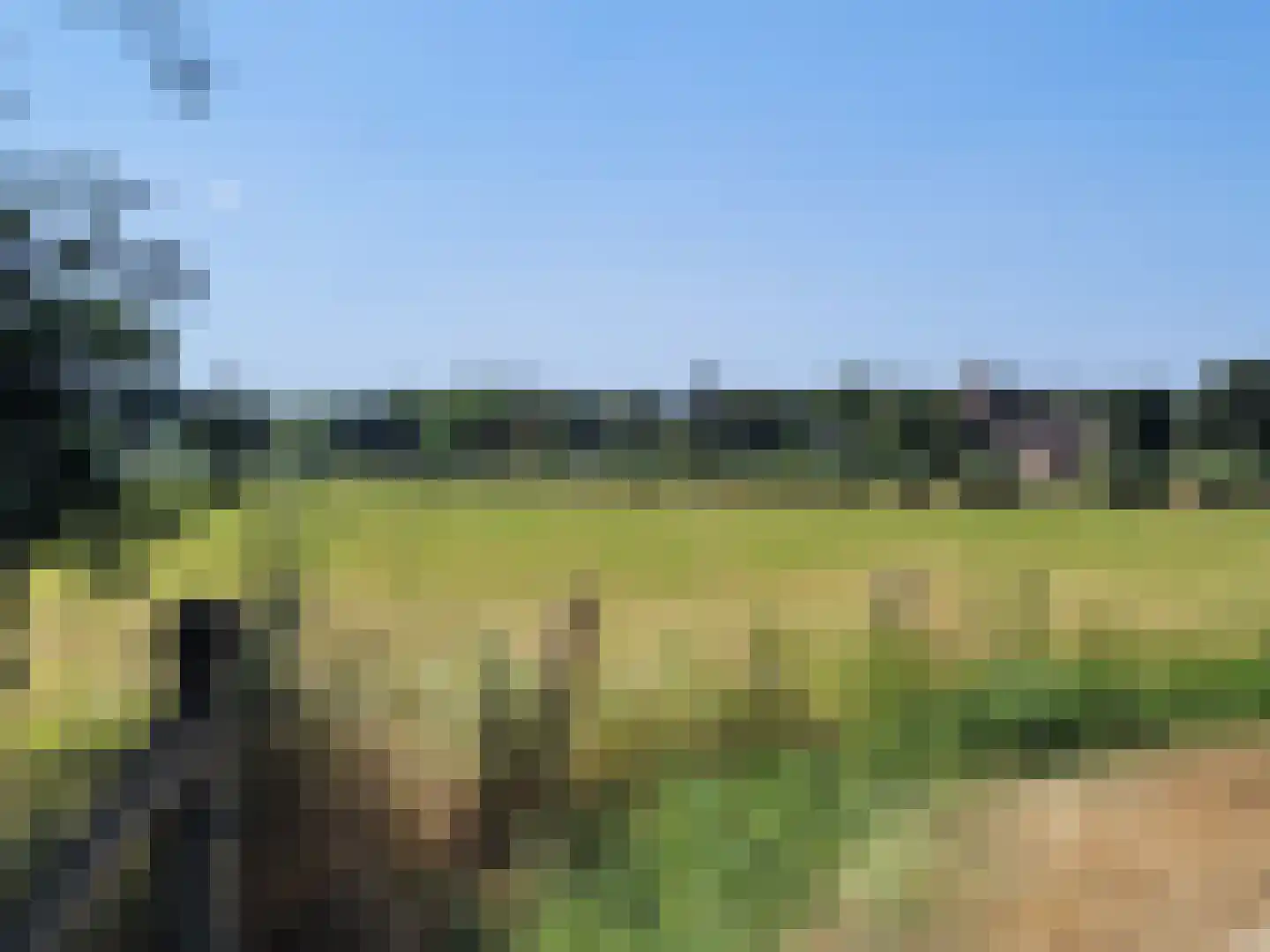 Ireneweg 6 Oosterbeek thumbnail 33