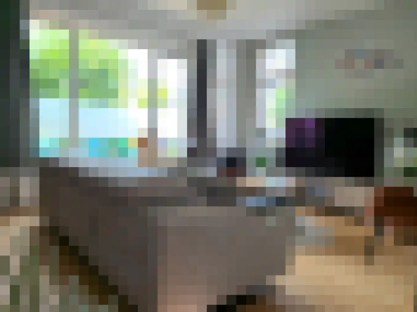 Ireneweg 6 Oosterbeek thumbnail 5